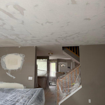 Popcorn Ceiling Removal, Level 5 Finishing and Drywall Patching