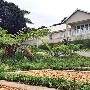 Contemporary Square Garden - Tree Fern garden