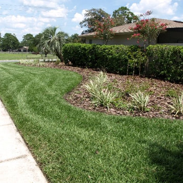 Front Yard tough corner lot landscape design