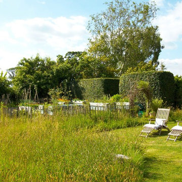 Creating Meadow +container veg garden in Dorset