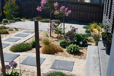 Inspiration for a mid-sized contemporary front yard full sun garden for summer in Melbourne with gravel.