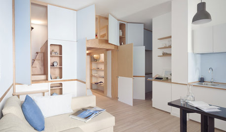 Houzz Tour: A Studio Converts Into a Two-Room Apartment