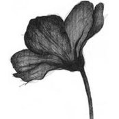 Rocio Menez's photo