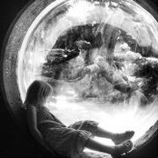 Dianne Cook's photo