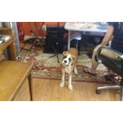 Stephen Choate's photo