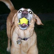 Lori Kuhn's photo