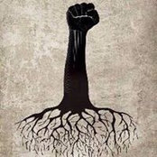 Foto de Feyzan Efe
