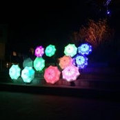 Amy Irvine's photo