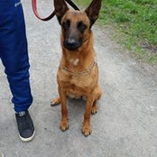 Foto von France Ctx
