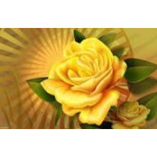 Maria Marley's photo