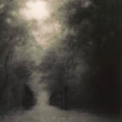 Rashad Aliyevs foto