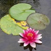 Tammy Riemer's photo