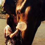 Ariel Daltons foto