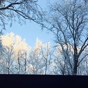 Jan Himmelein's photo