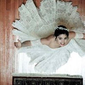 Cherie Frank's photo