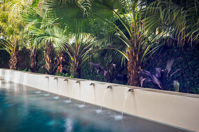 Inspiration for a tropical pool in New Orleans.