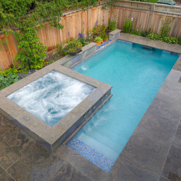 Urban Oasis