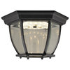 Canterbury II LED Outdoor Ceiling Light, Clear Beveled Glass, Black