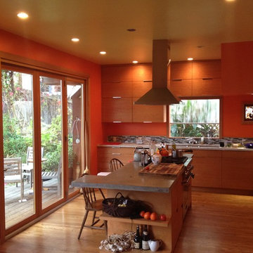 Drew-Wang Residence