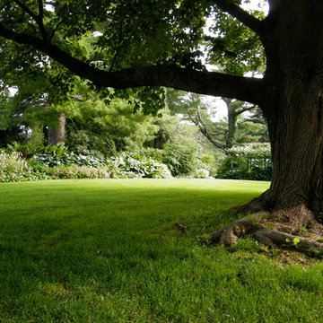 Old Farm Nursery: Display Gardens
