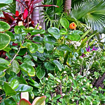 Garden and Landscape Maintenance