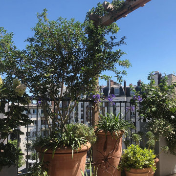 Aménagement paysager d'une terrasse à Paris 14ème...