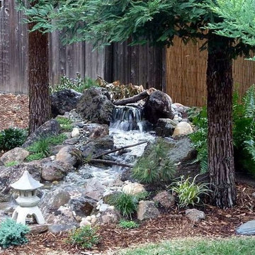 Water Features