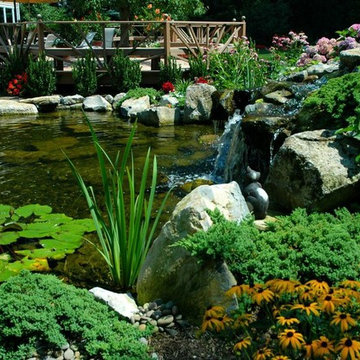 Natural Ponds
