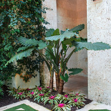 Shade Garden