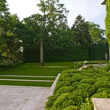 Yard Remodel