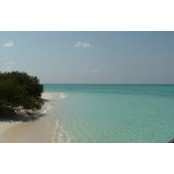 Bina Mistry's photo