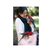 Leyi LI's photo