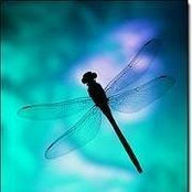 Joyce Owen's photo