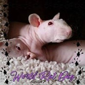 Patricia Walker's photo