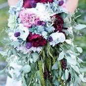 Nannette Brady's photo