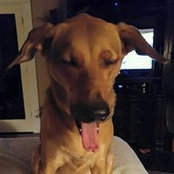 Rick Myers's photo