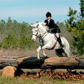 Shannon Davis's photo