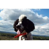 Kenda Gammell's photo