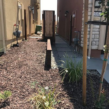 Side Yard Pathway