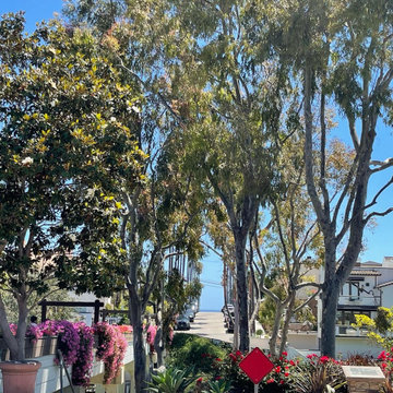 Corona del Mar - Dream House