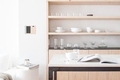 Danish kitchen photo in San Francisco