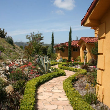Patios & Courtyards