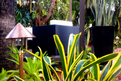 Design ideas for a tropical garden in Miami.