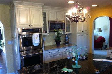 Kitchen - mid-sized traditional kitchen idea in Chicago with raised-panel cabinets, white cabinets, granite countertops, stainless steel appliances and an island