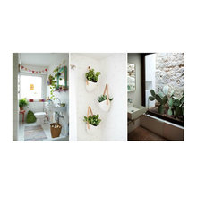 Guest Bathrooms Spruce Up