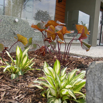 Windermere Showhome