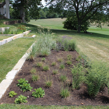 Radnor Residence