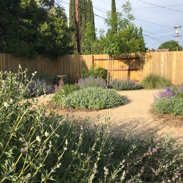 Pollinator friendly plantings
