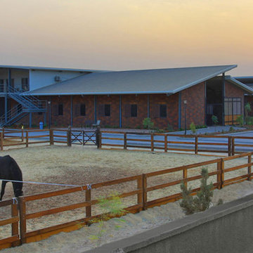 Stal Kayali
