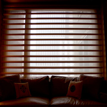 Pirouette Shades- Lake Shore Drive Condo